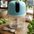 Electric Garlic Chopper USB — 1 Click Me Lehsun, Pyaz, Adrak Ki Chutney