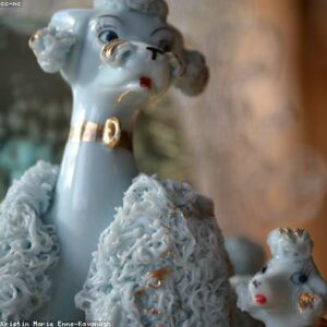 Dog Collar Adjustable